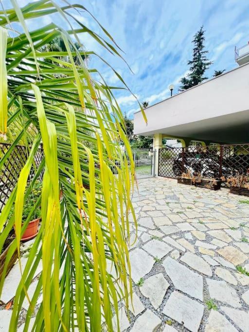 Suite Dei Fiori - Luxury Open Space Sanremo Exterior photo
